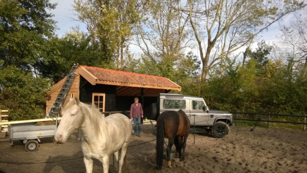 Douglas paardenstal groot